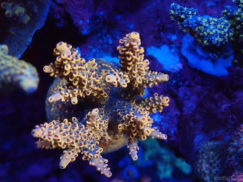 WeChat Image_2018020621325713 ����.jpg