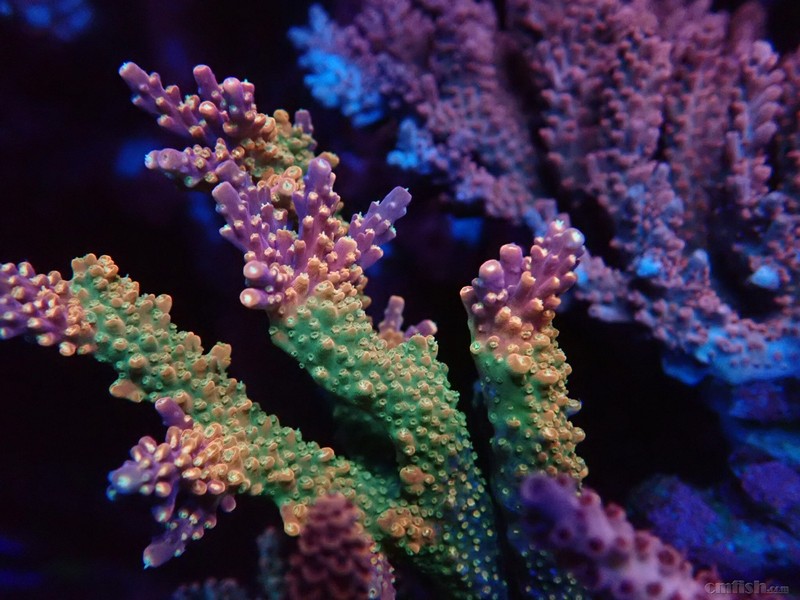 WeChat Image_2018020621330210 ����.jpg