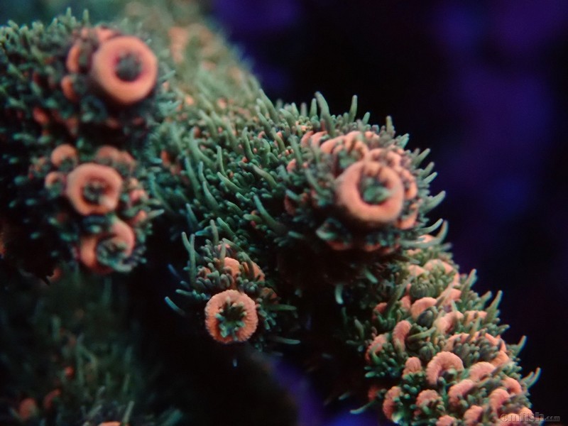 WeChat Image_2018020621330211 ����.jpg