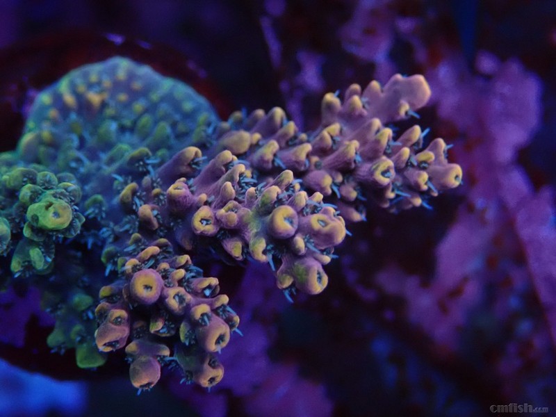 WeChat Image_2018020621330212 ����.jpg