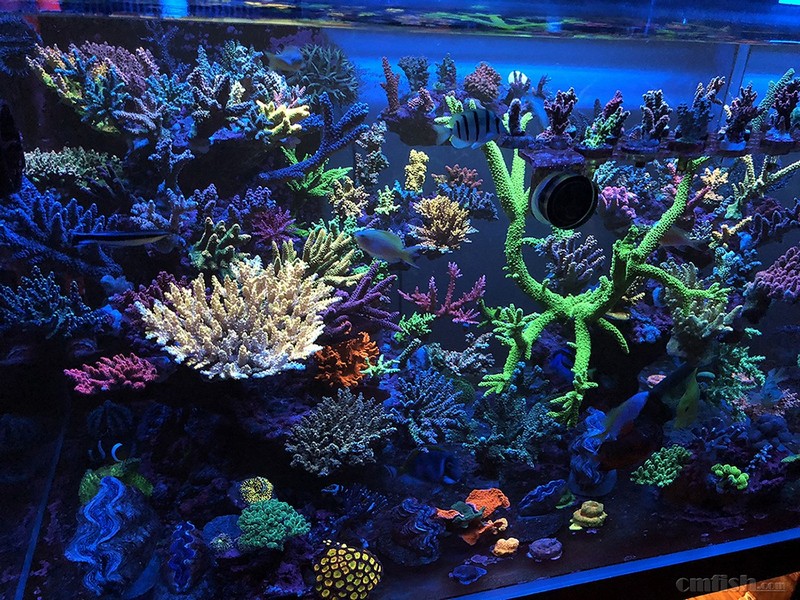 WeChat Image_2018020621344611 ����.jpg