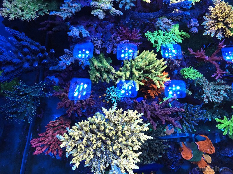 WeChat Image_2018020621344614 ����.jpg