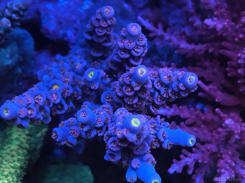 WeChat Image_2018020621344720 ����.jpg