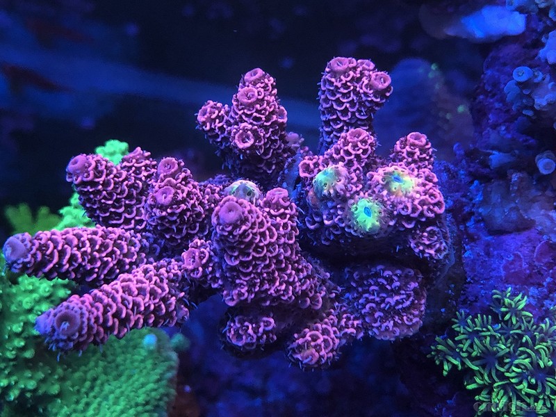 WeChat Image_2018020621344714 ����.jpg