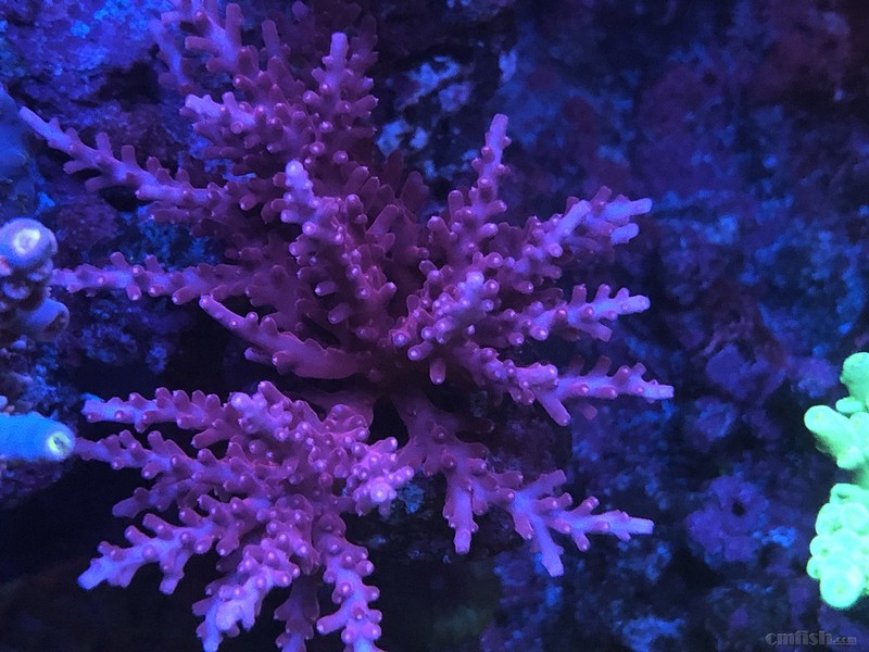 WeChat Image_2018020621344721 ����.jpg