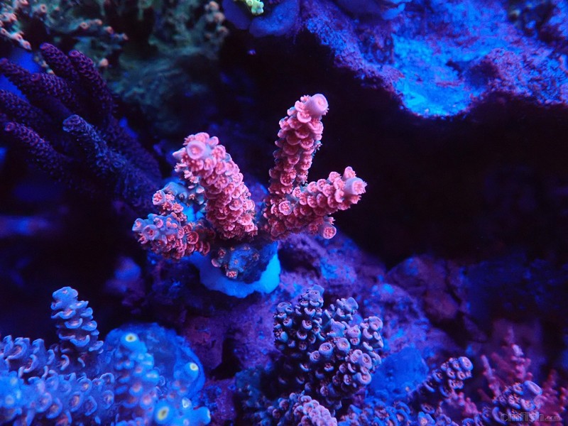 WeChat Image_2018020621344915 ����.jpg