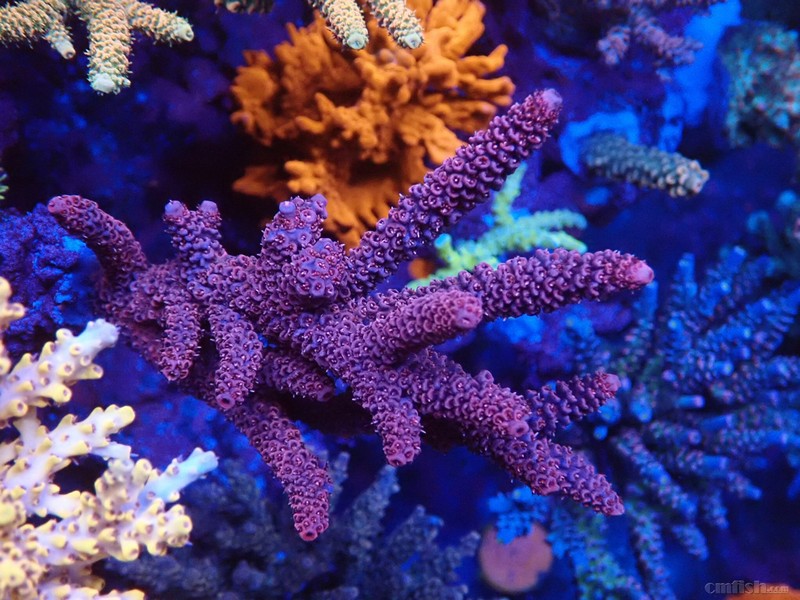 WeChat Image_2018020621344916 ����.jpg