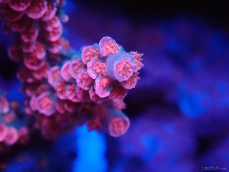 WeChat Image_2018020621344917 ����.jpg