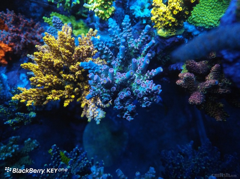 WeChat Image_2018020621405810 ����.jpg