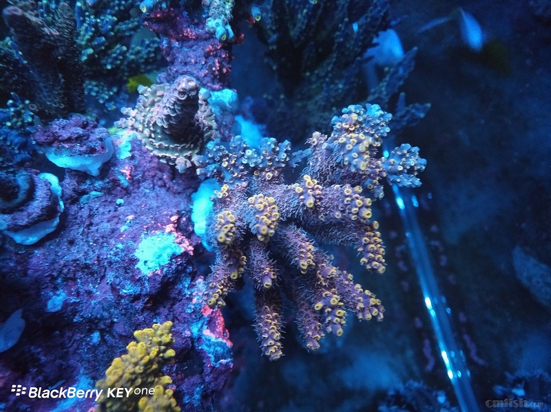 WeChat Image_2018020621405813 ����.jpg