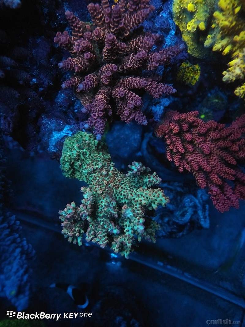 WeChat Image_2018020621410114 ����.jpg