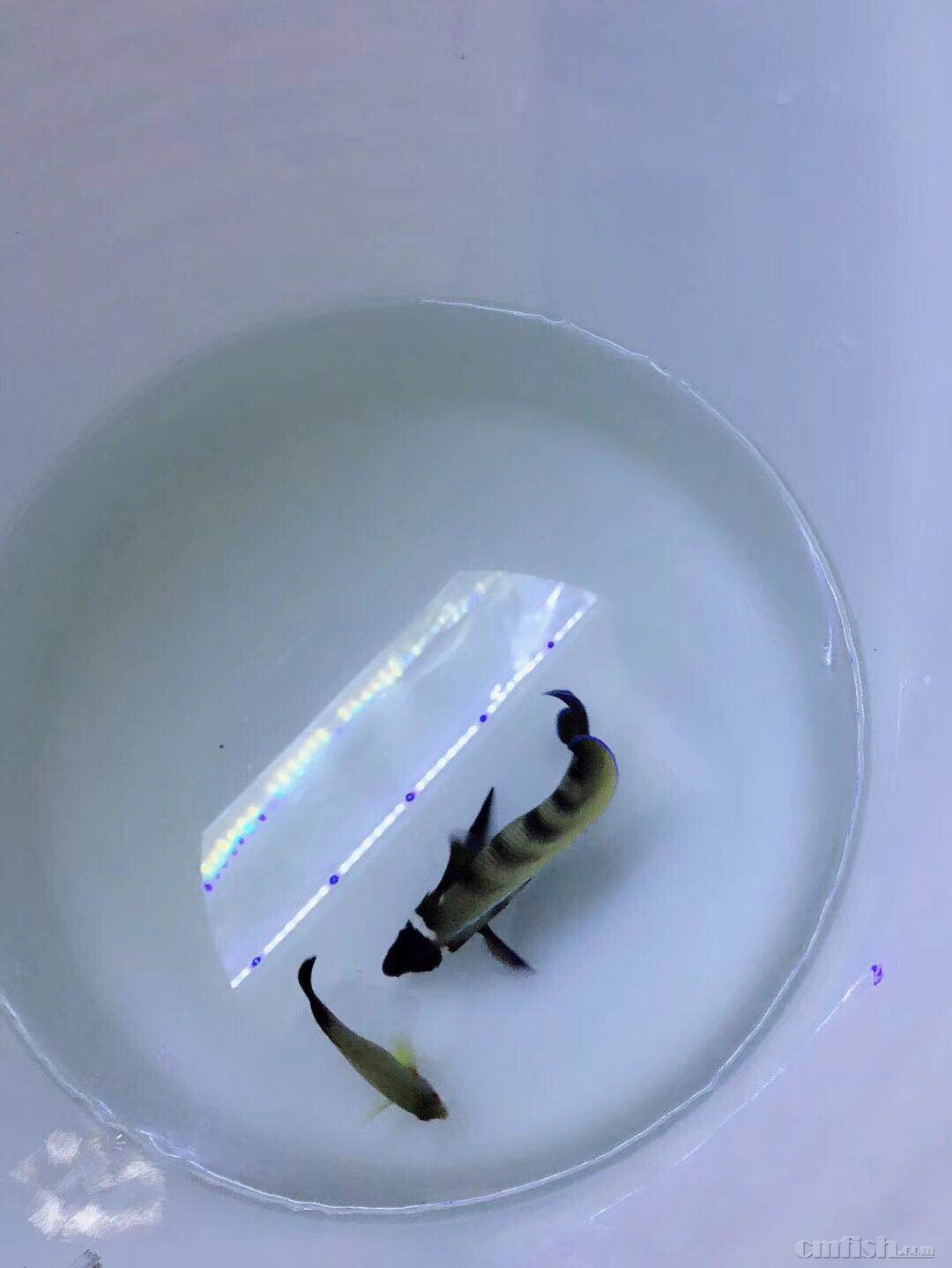 ���㣬���䡢����