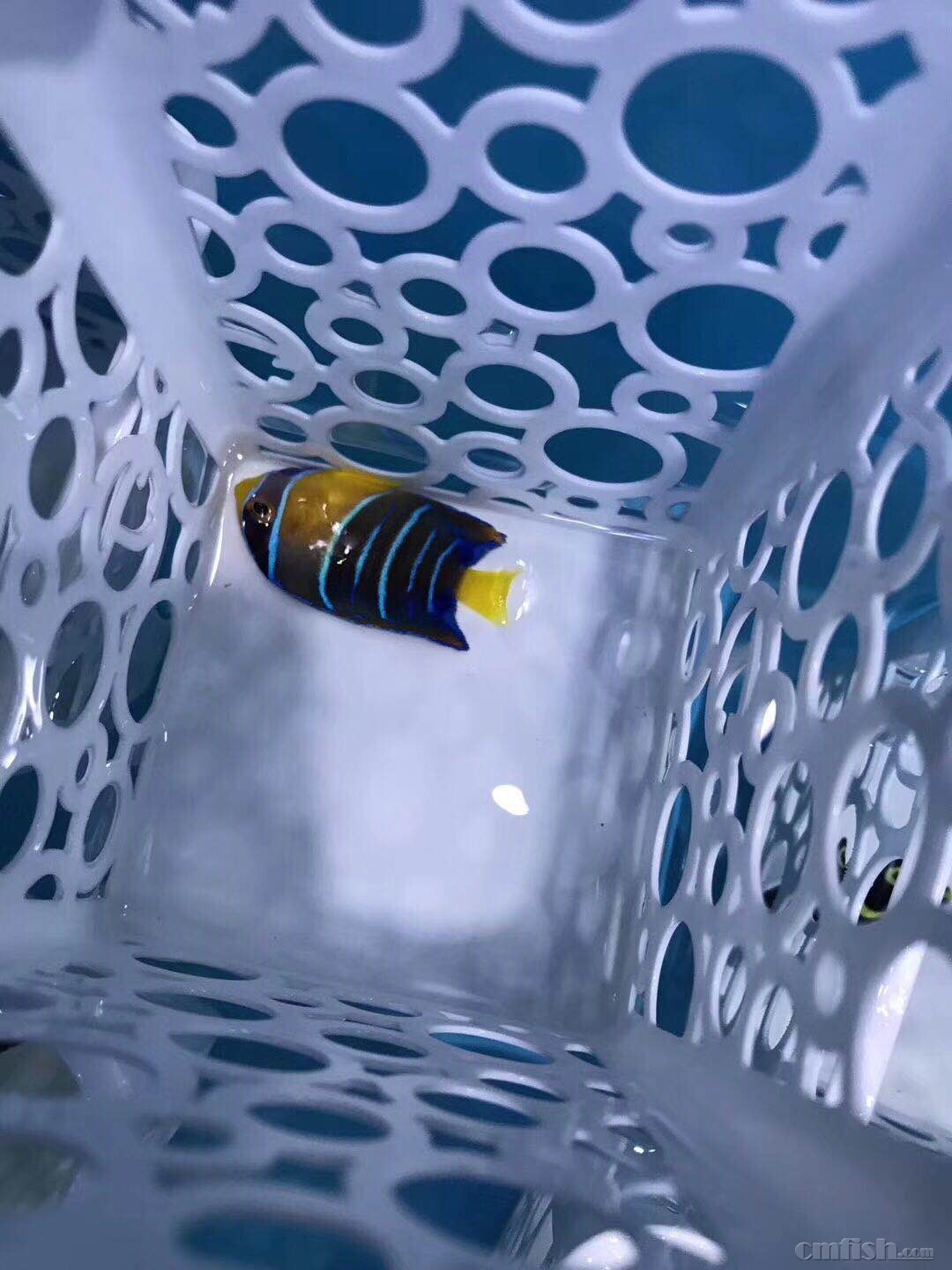 �Ѷ���Ů��