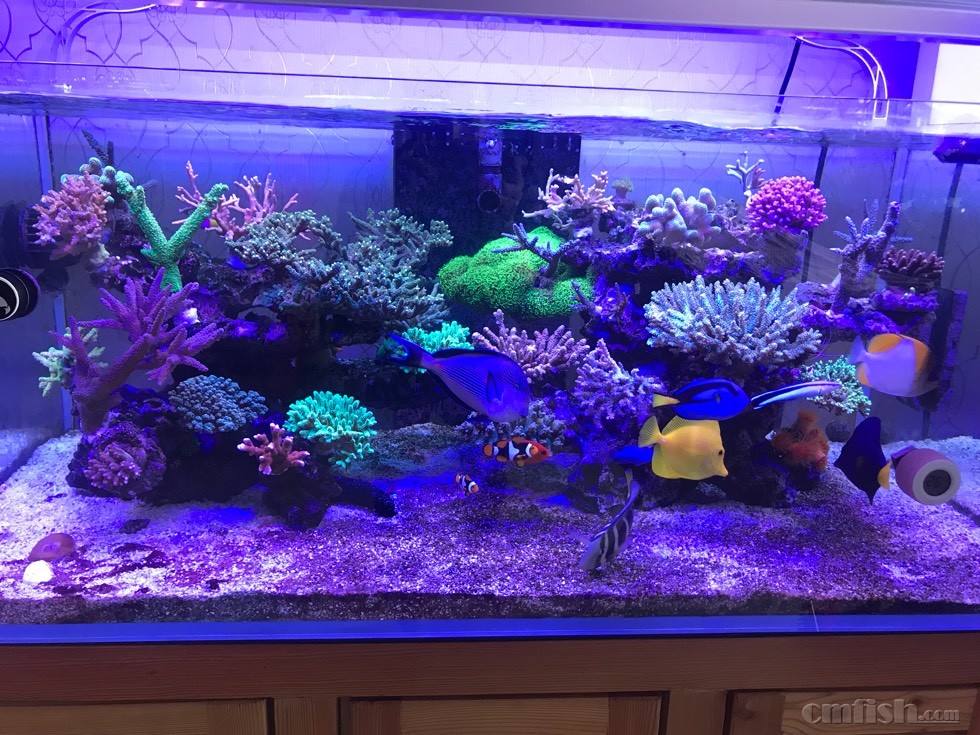 最近红泥爆发是生物多的原因吗