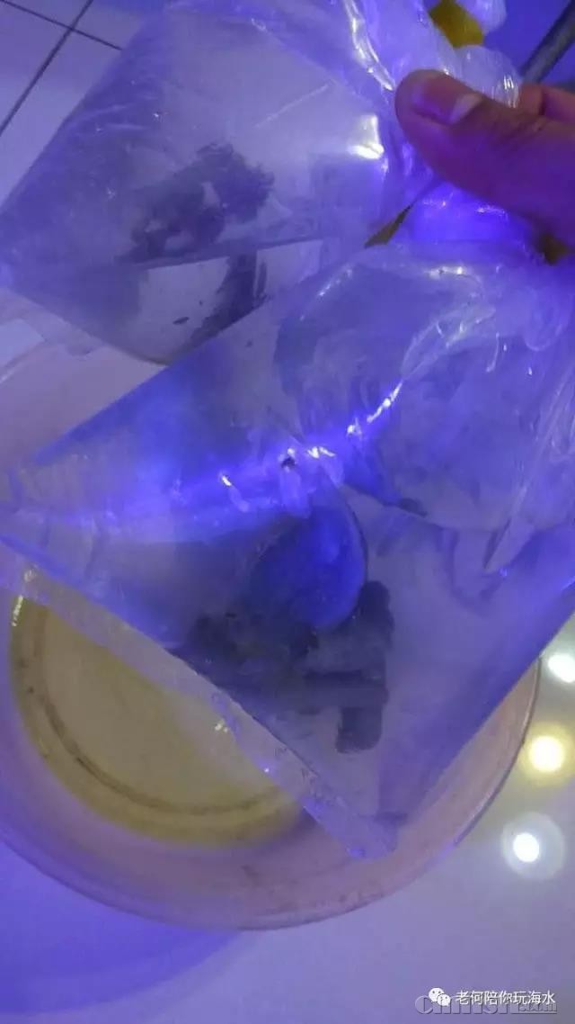΢��ͼƬ_20180304133942.jpg