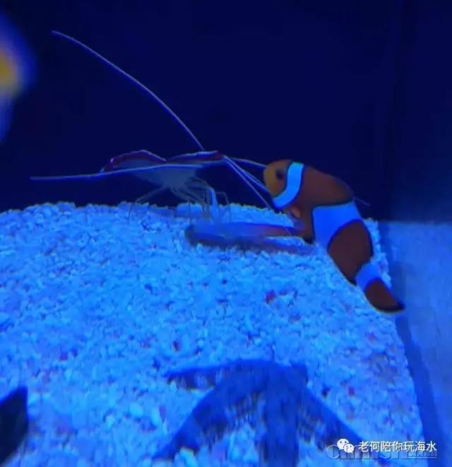 ΢��ͼƬ_20180304150149.jpg