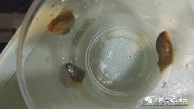 ΢��ͼƬ_20180304150206.jpg