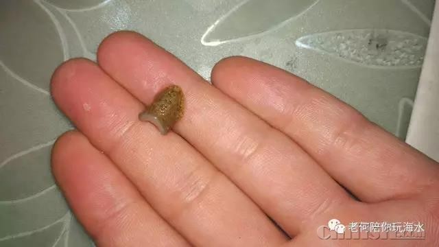 ΢��ͼƬ_20180304150212.jpg