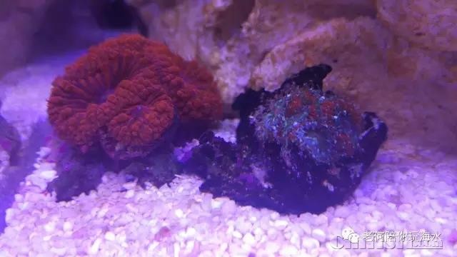 ΢��ͼƬ_20180304150222.jpg
