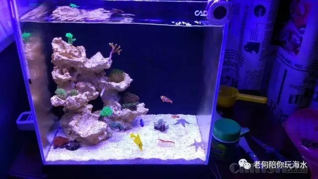 ΢��ͼƬ_20180304150308.jpg