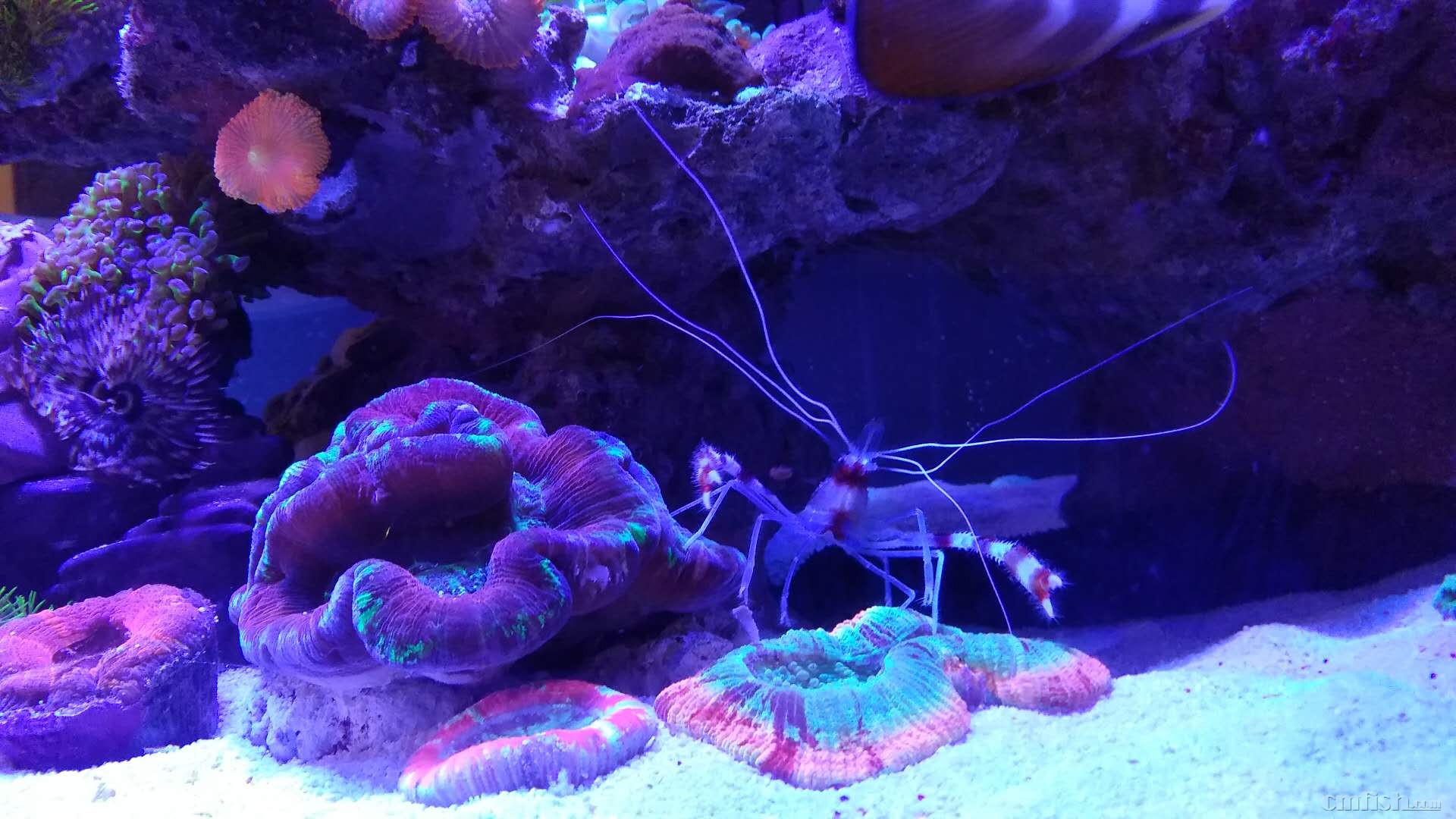 ΢��ͼƬ_201803051121499.jpg