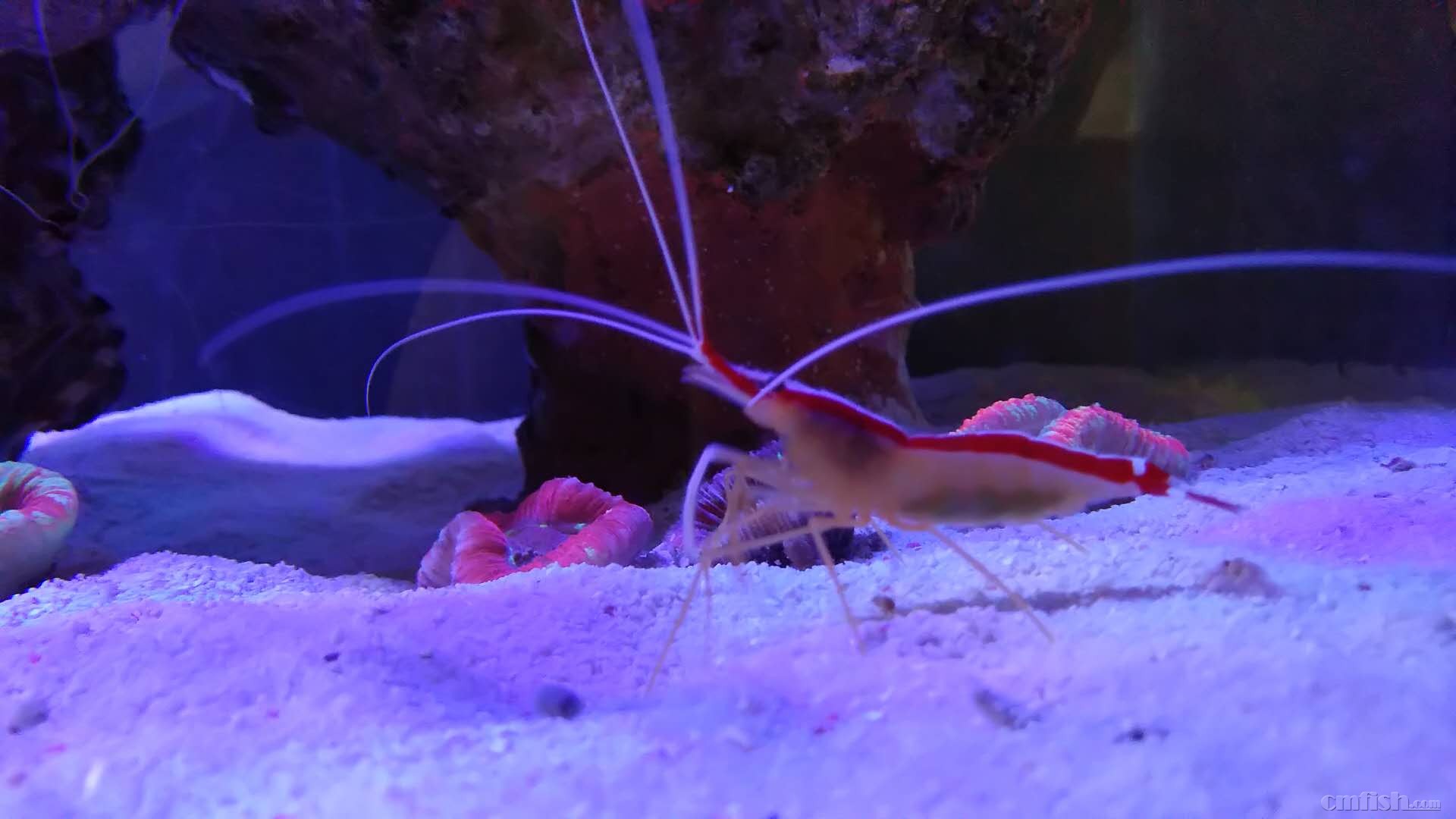 ΢��ͼƬ_2018030511214913.jpg