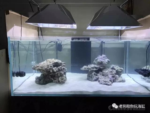 ΢��ͼƬ_20180306115048.jpg