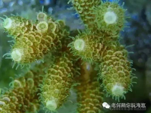 ΢��ͼƬ_20180307160812.jpg