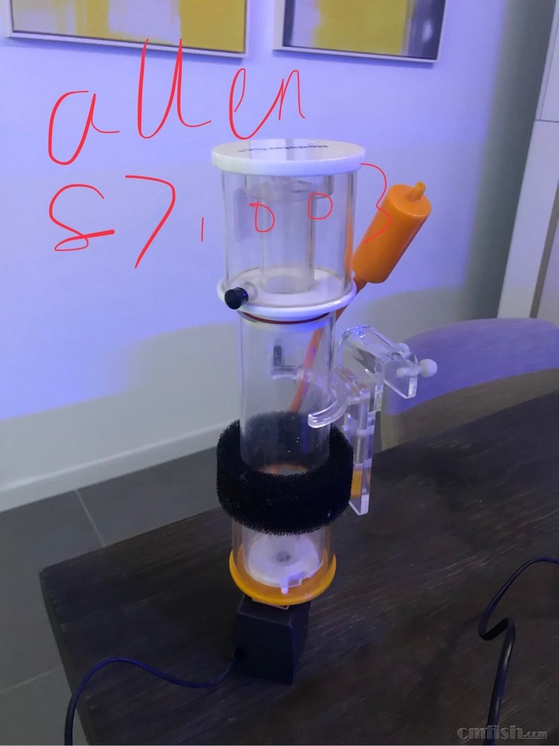 出红海星sq70蛋分