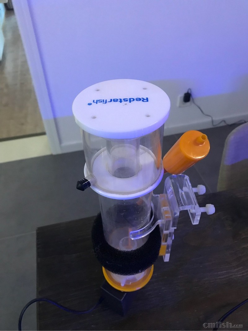 出红海星sq70蛋分