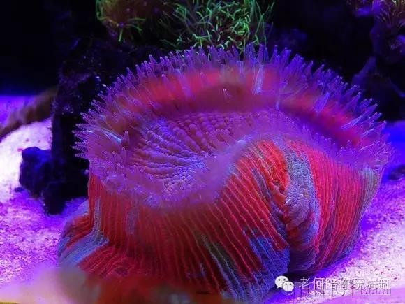 ΢��ͼƬ_20180308232354.jpg