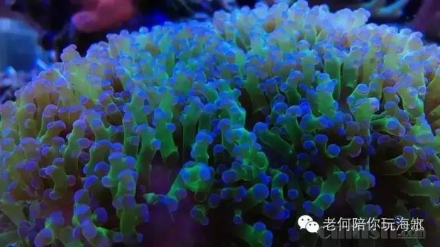 ΢��ͼƬ_20180311174507.jpg