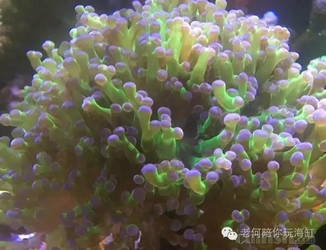 ΢��ͼƬ_20180311180058.jpg