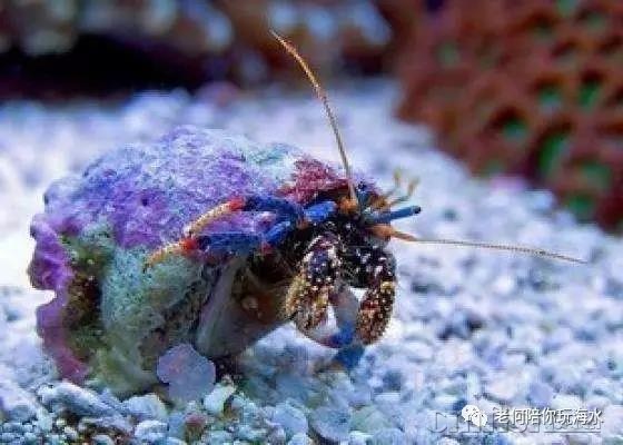 ΢��ͼƬ_20180315182540.jpg