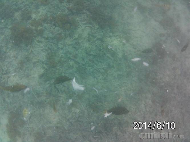 100931bre6enz7is7ffqcu.JPG
