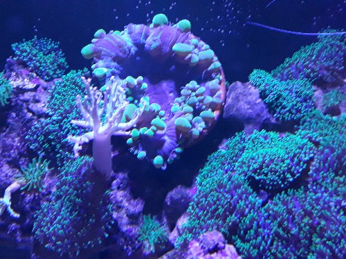 20180321_215111.jpg