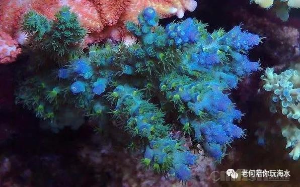 ΢��ͼƬ_20180324151339.jpg