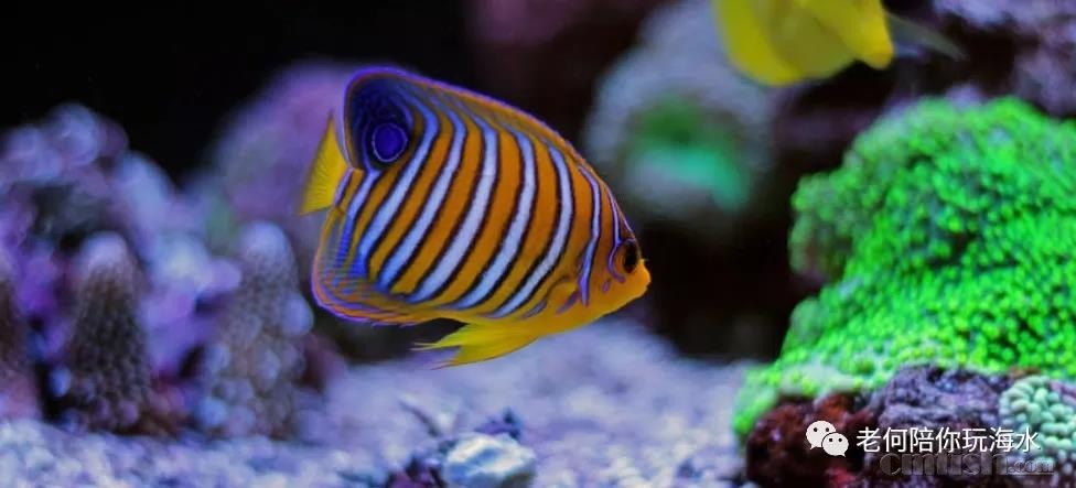 ΢��ͼƬ_20180324151353.jpg