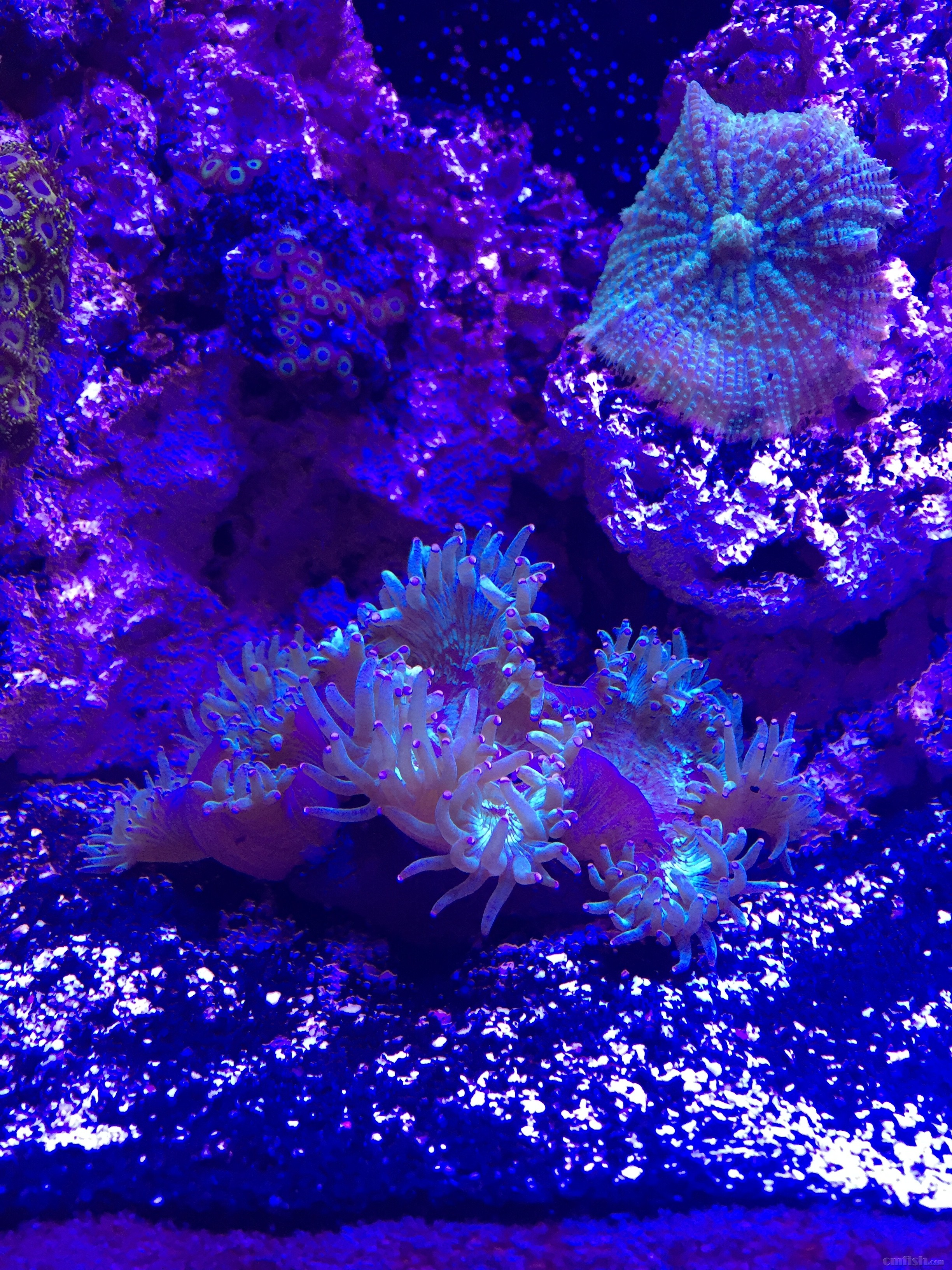 求助,尼罗河突然开不大了