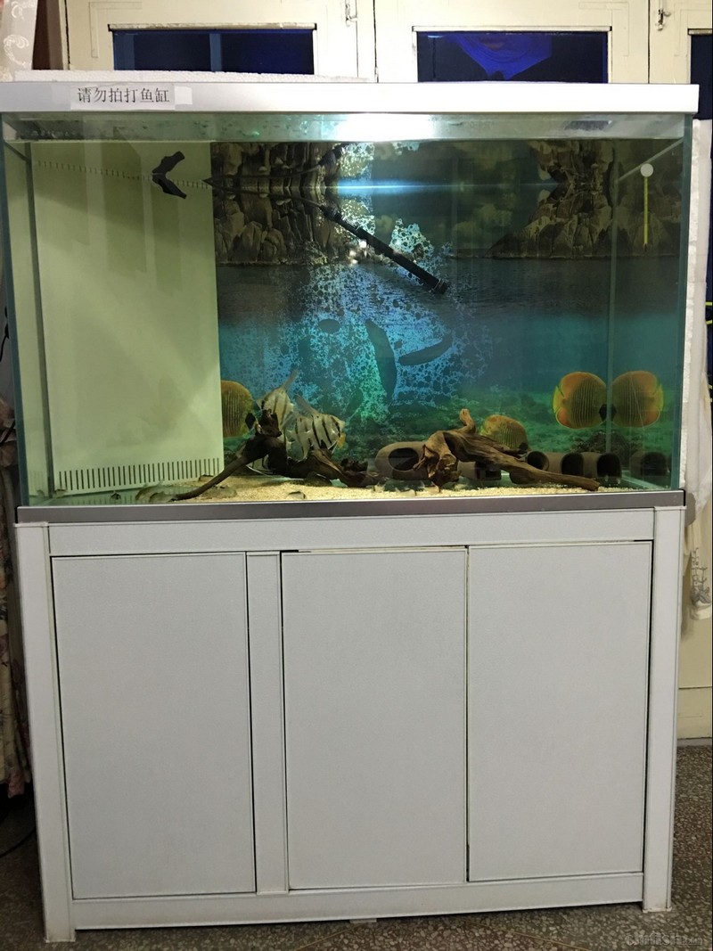 ��ת QQͼƬ20180411223349.jpg