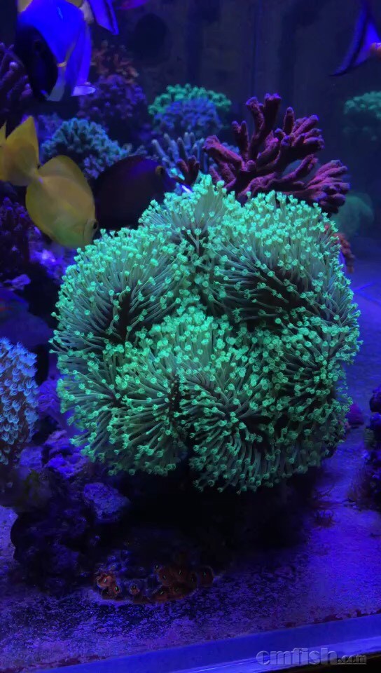 102305d3ff9m32x3ux2240.jpg