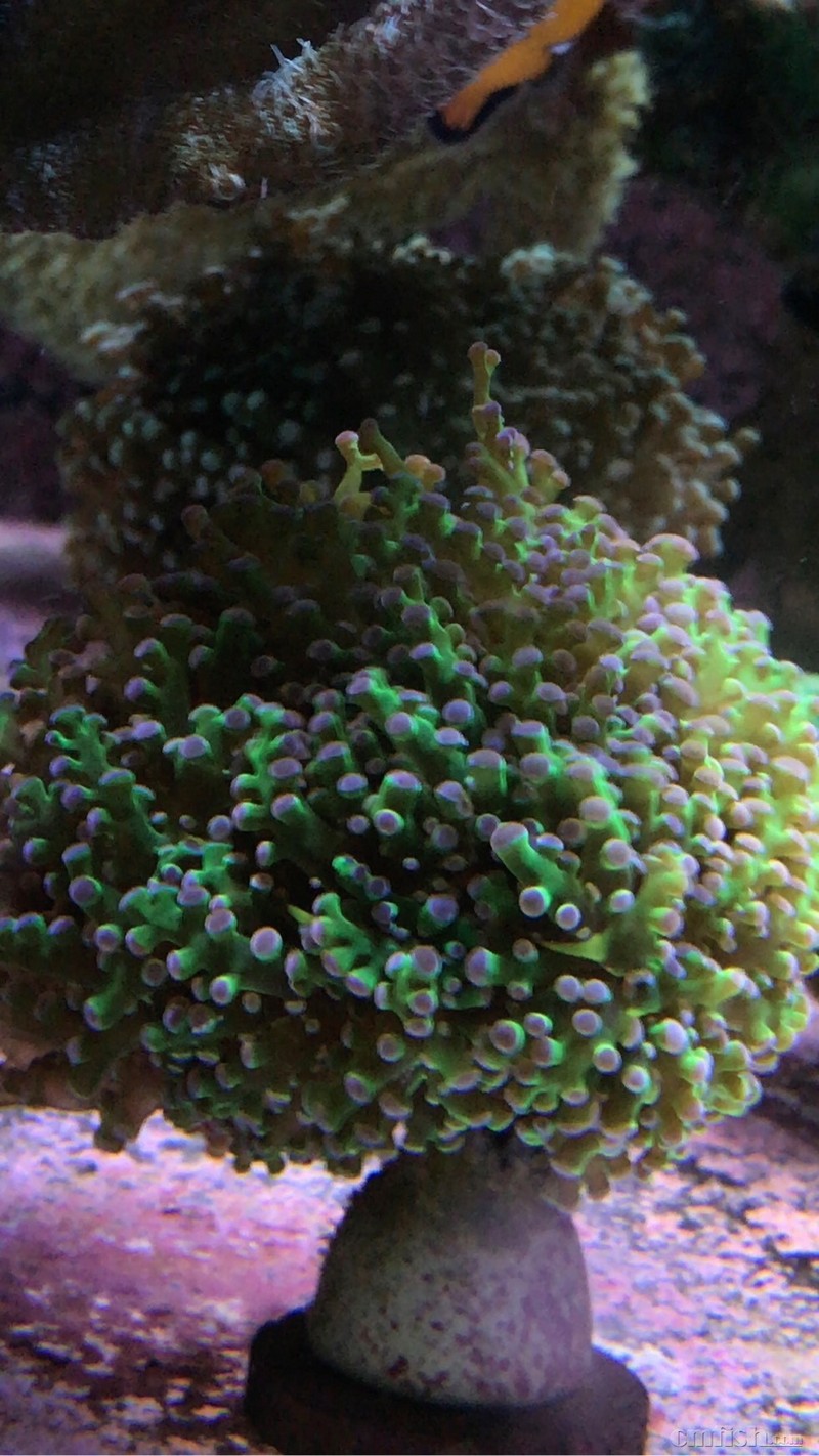 102351gegswz0s9ez40w6w.jpg