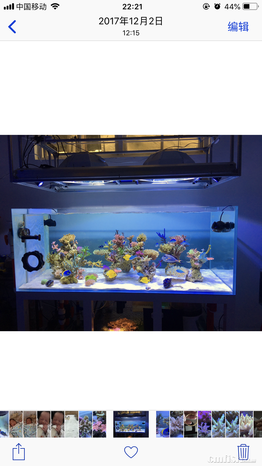 webwxgetmsgimg (7).png