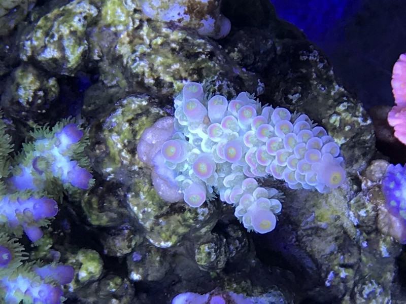 webwxgetmsgimg (3).jpg