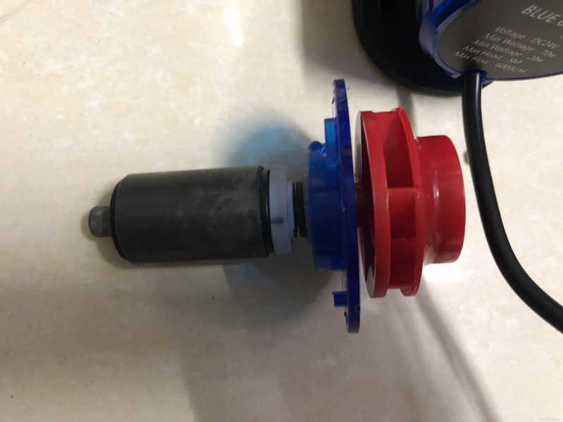 ���������͵�һ�μ�����