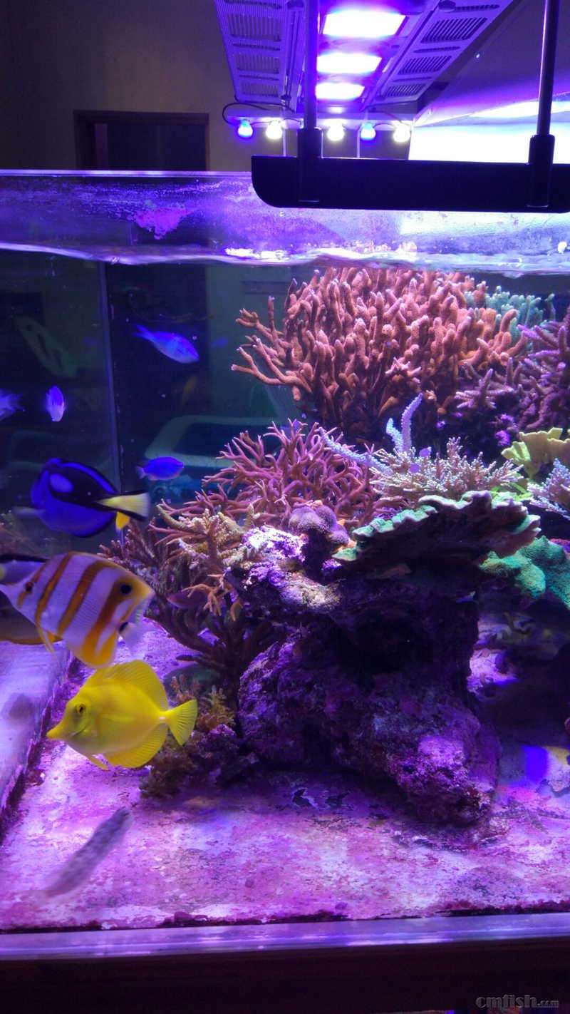 �ȿ������