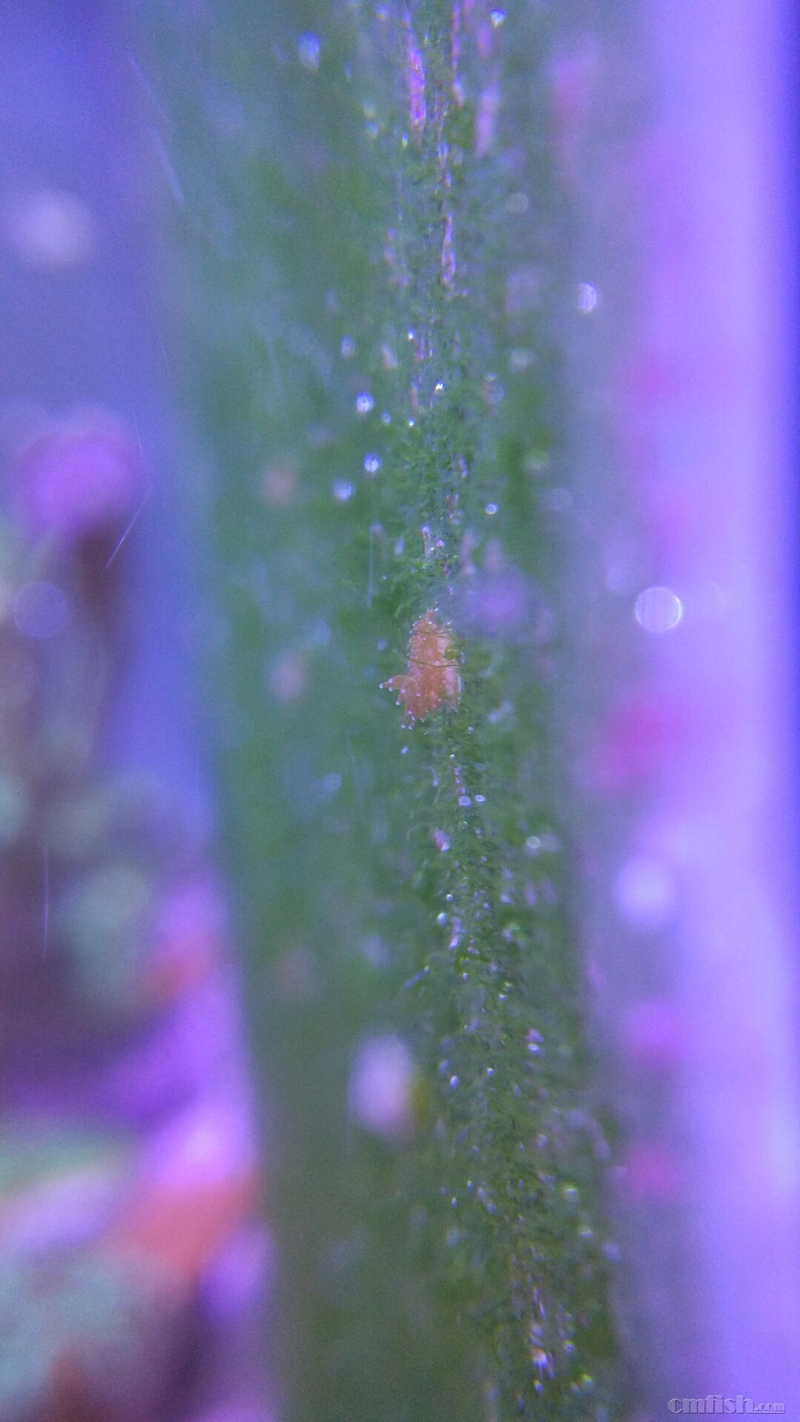 ���ϳ�����ɺ����������ͼ��