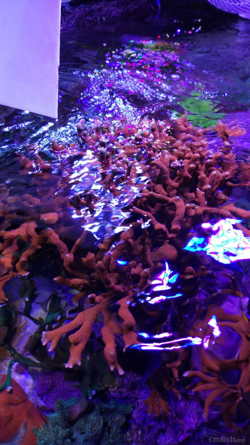 ������ˮ��ĺ����