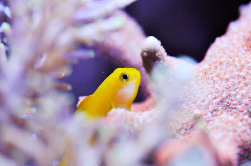 DSC_0057.jpg