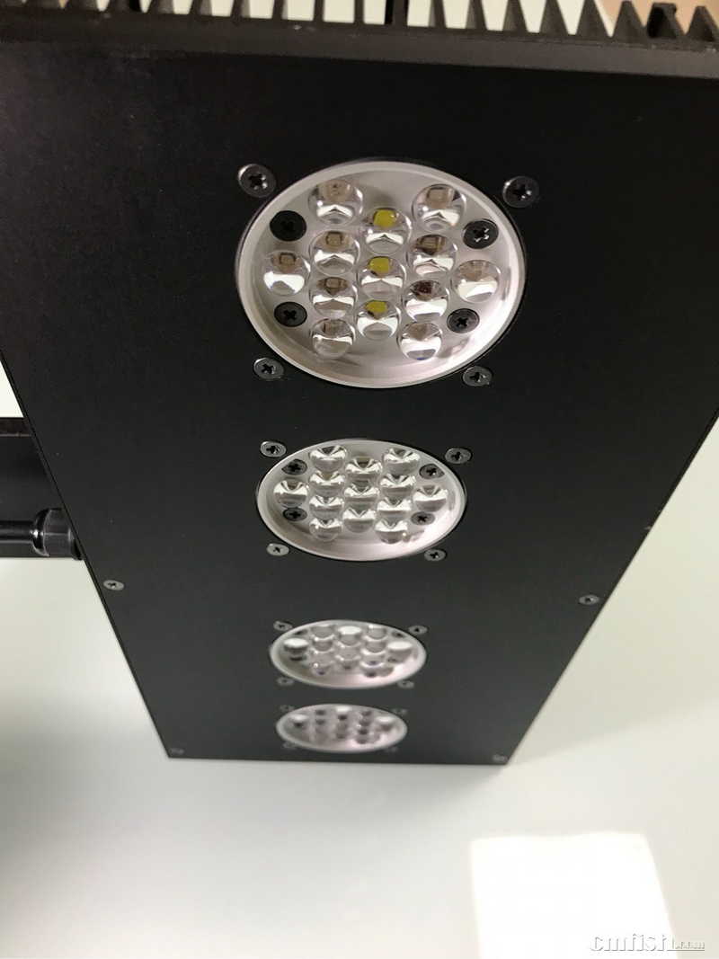 diy xr珊瑚灯 ai珊瑚灯 正式开卖了